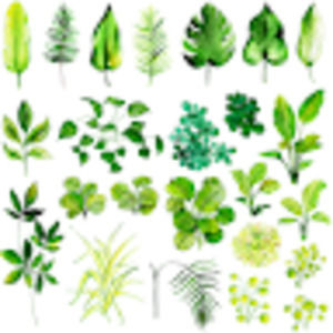 Meet your Posher, Sang hoon